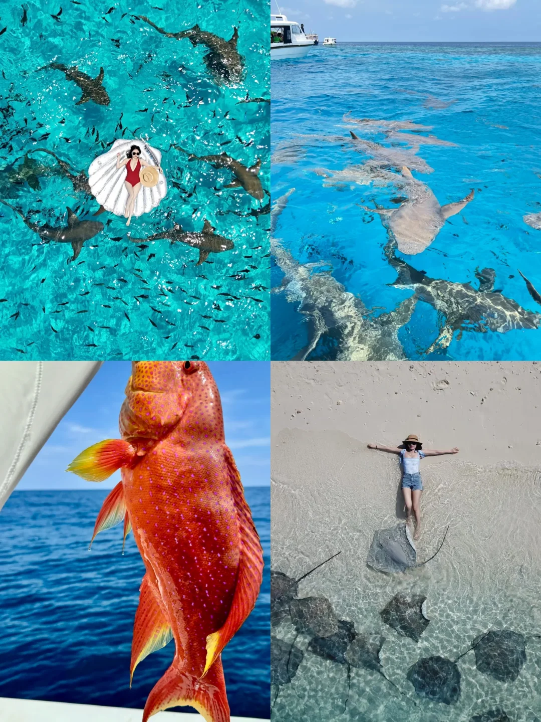 全家在马尔代夫玩了6天，消费观崩塌了！