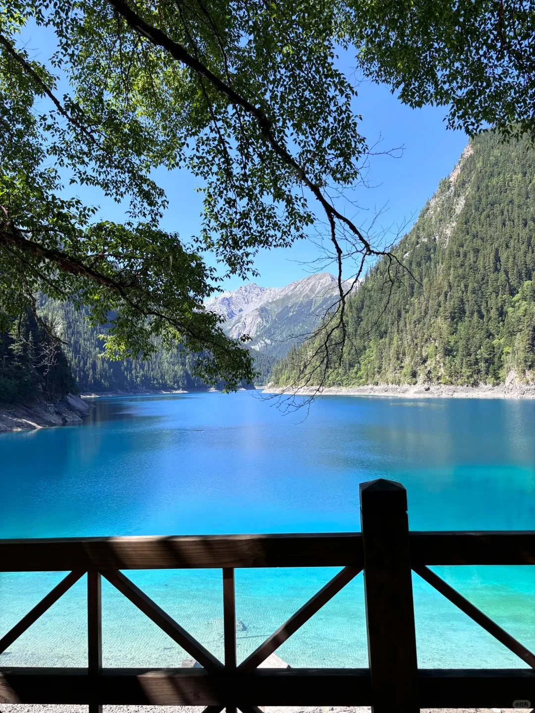 7.28📍九寨沟旅游现状。。踩雷踩到崩溃