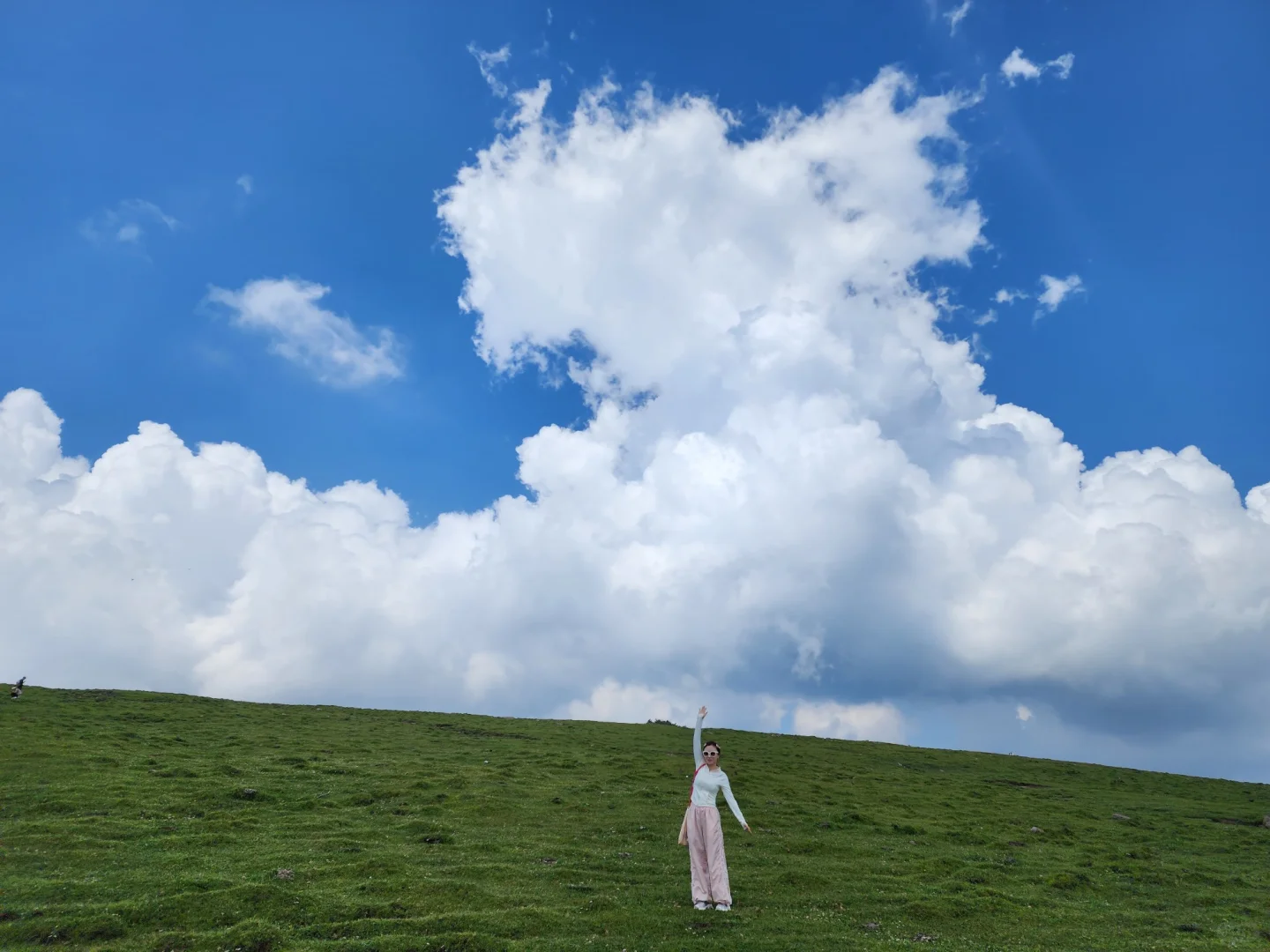 忍不住又来了一次！