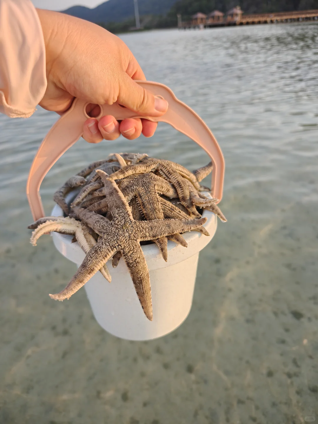 带娃在陵水已经住了10天❗听听我的真实感受