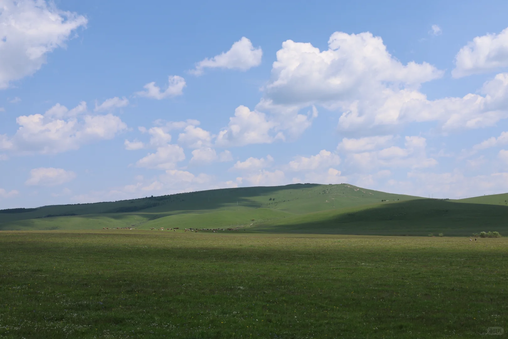 聊城出发,乌兰布统,4天3晚自驾攻略~