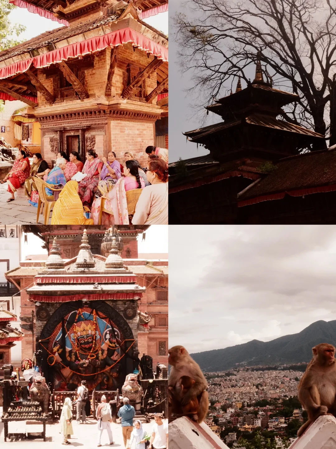 尼泊尔一周自由行攻略🇳🇵