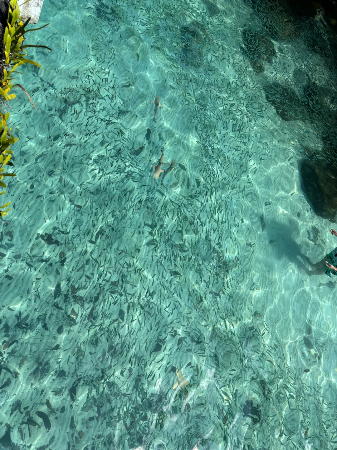 第一次出国马来西亚