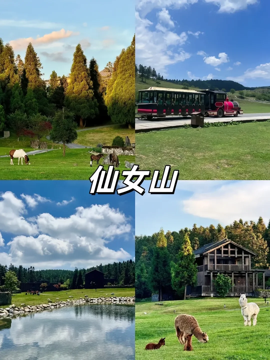 重庆周边必打卡景点