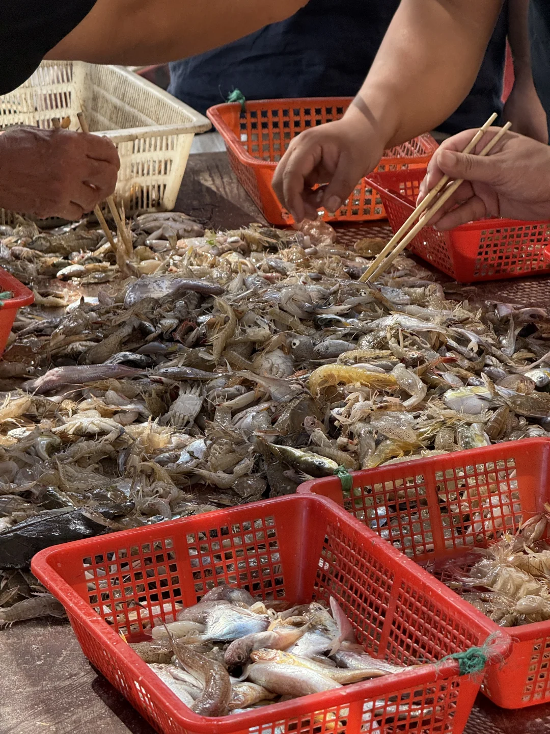 不是三亚是温州！浙江最蓝的海🌊