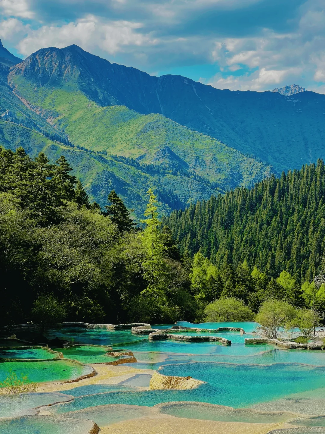 九寨沟一日游‼️精华景点亲测不走回头路