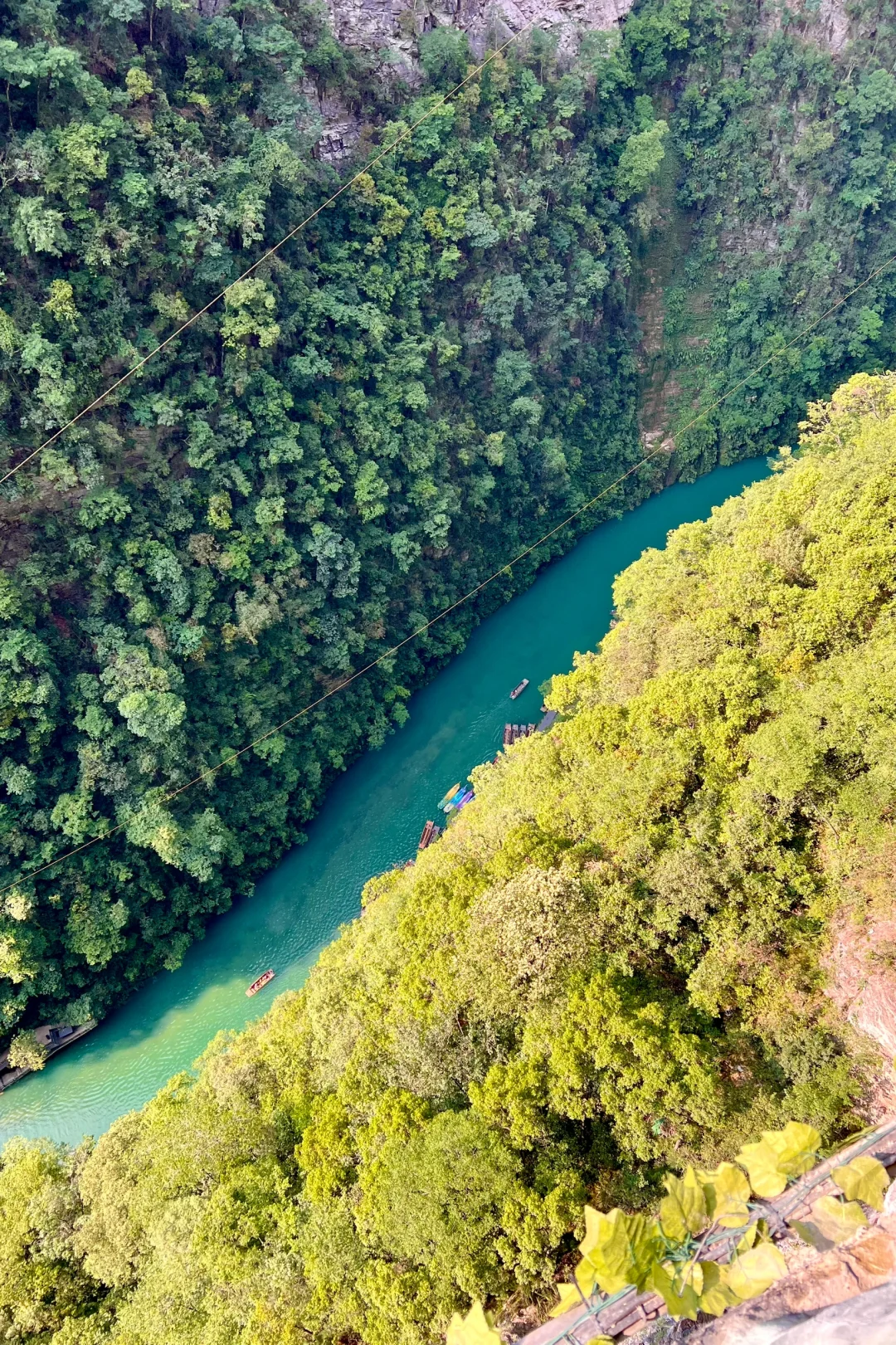 恩施6日游玩攻略📒
