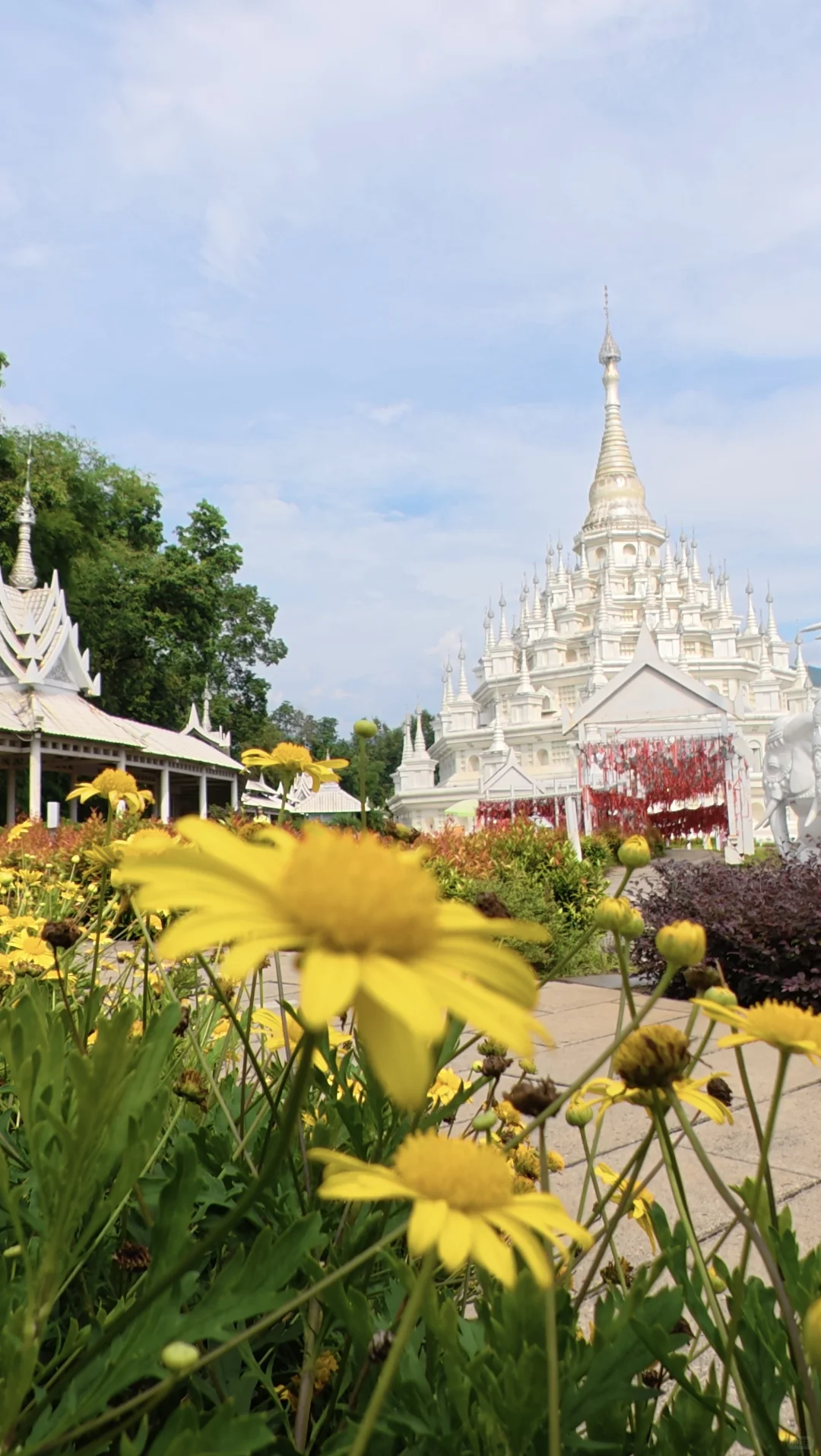 成都出发3天2夜芒市松弛感拉满的旅游攻略🌴
