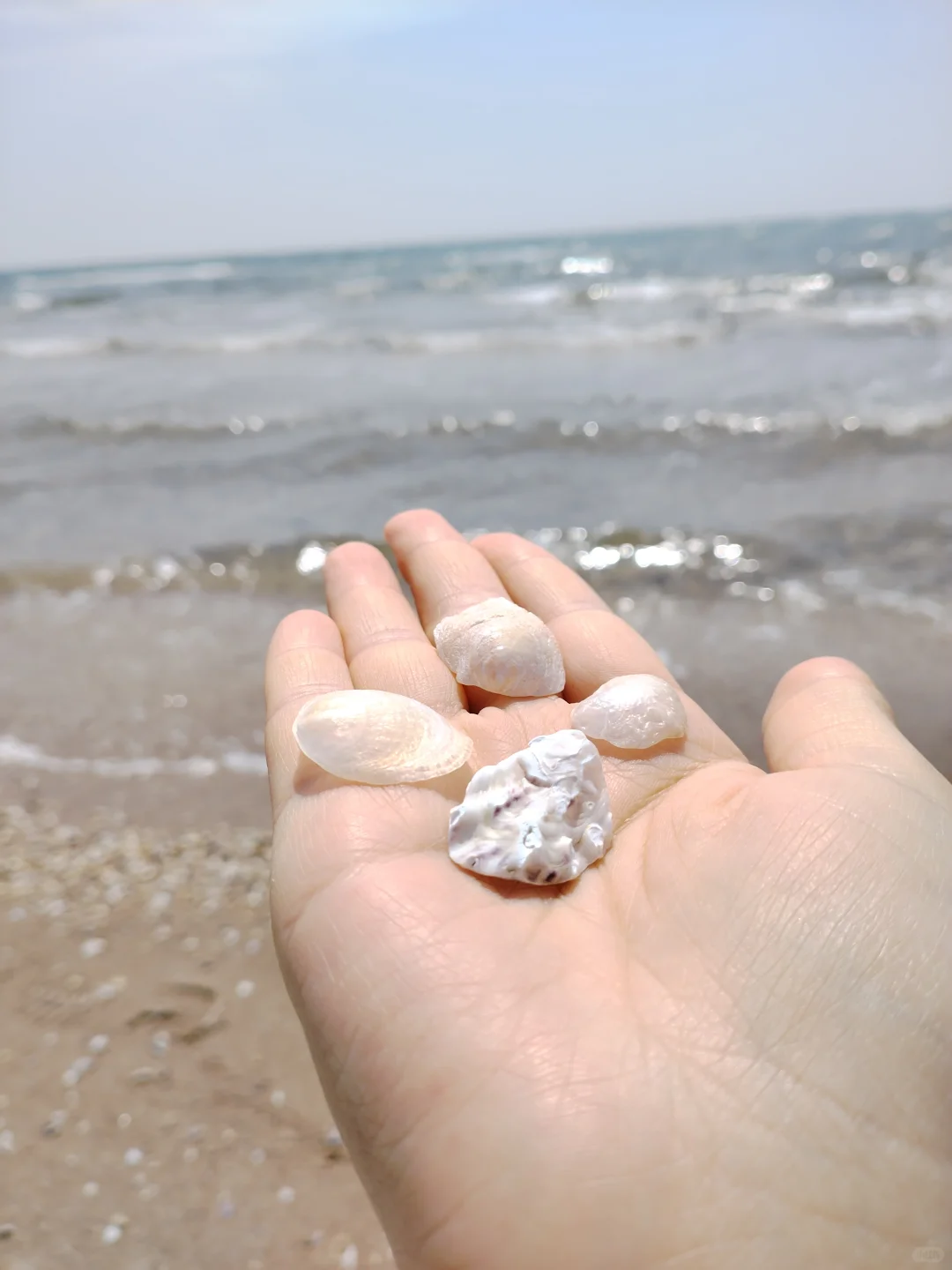 来秦皇岛3天2晚的游玩攻略