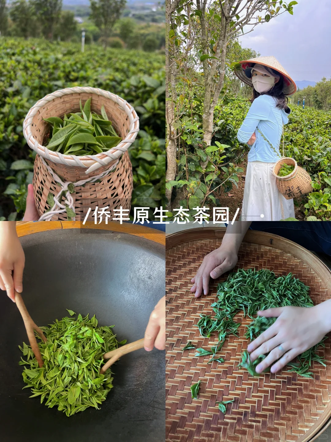 J人pdf版 英德3天2夜吃住行旅游攻略