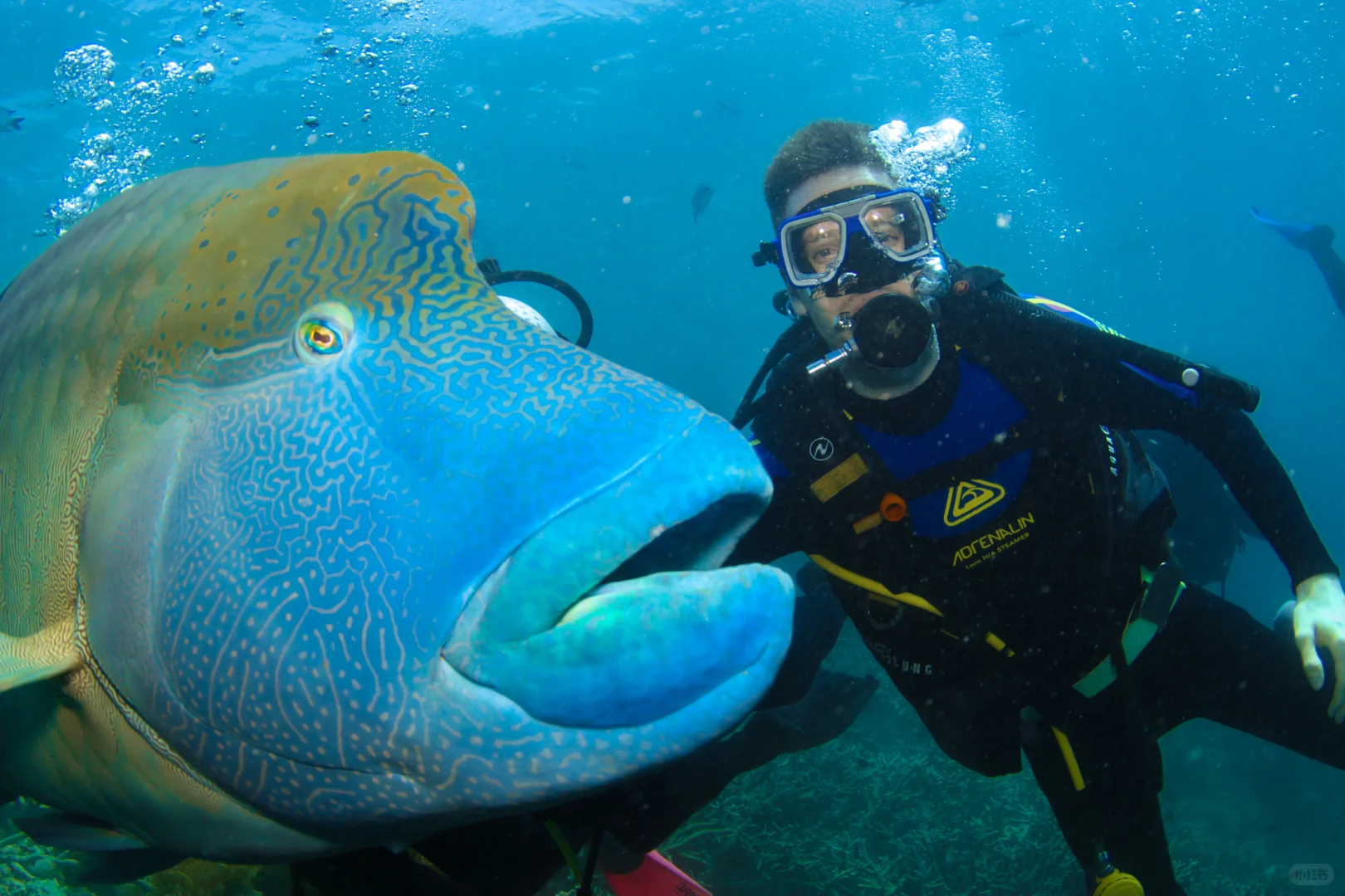 「旅行」我心目中的天花板和愿望清单