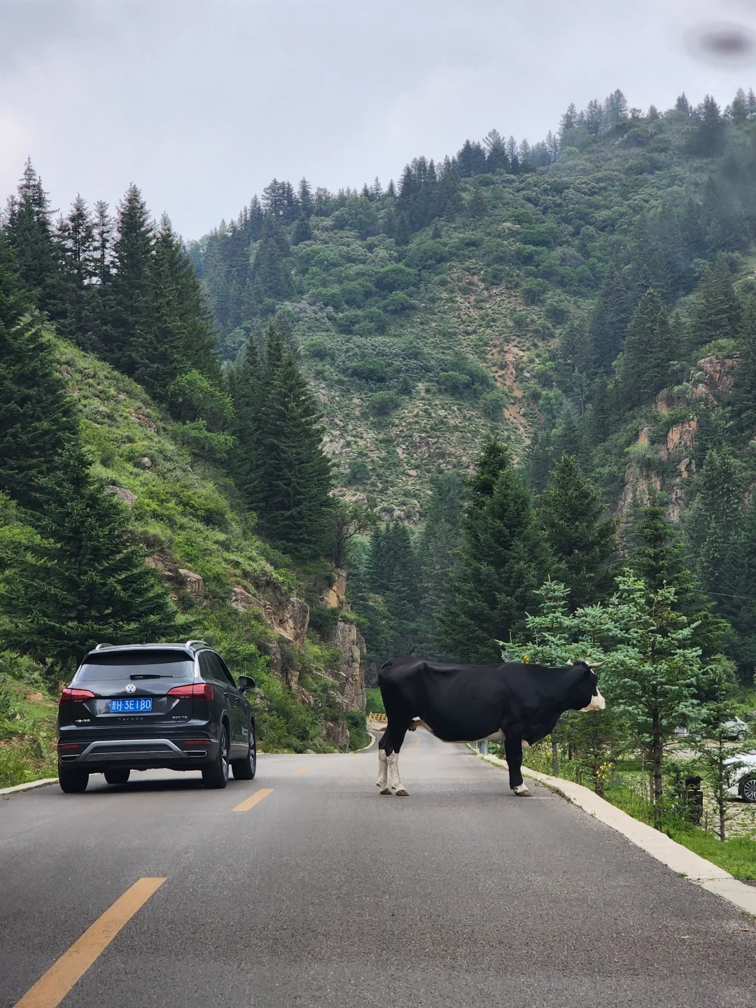忍不住又来了一次！