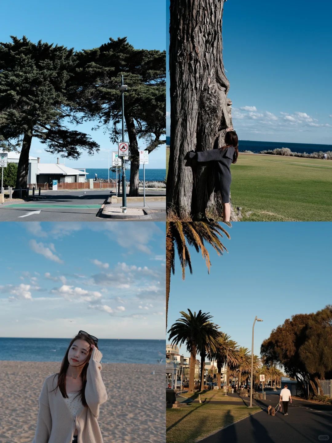 悉尼&猫本7日游攻略（附点评版😀）