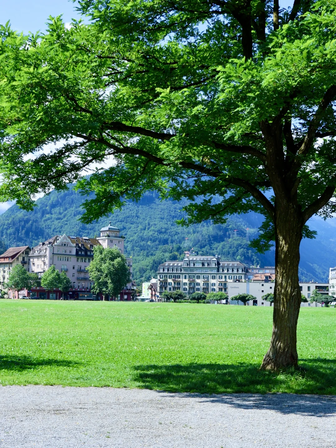 年轻人不要轻易来瑞士🇨🇭