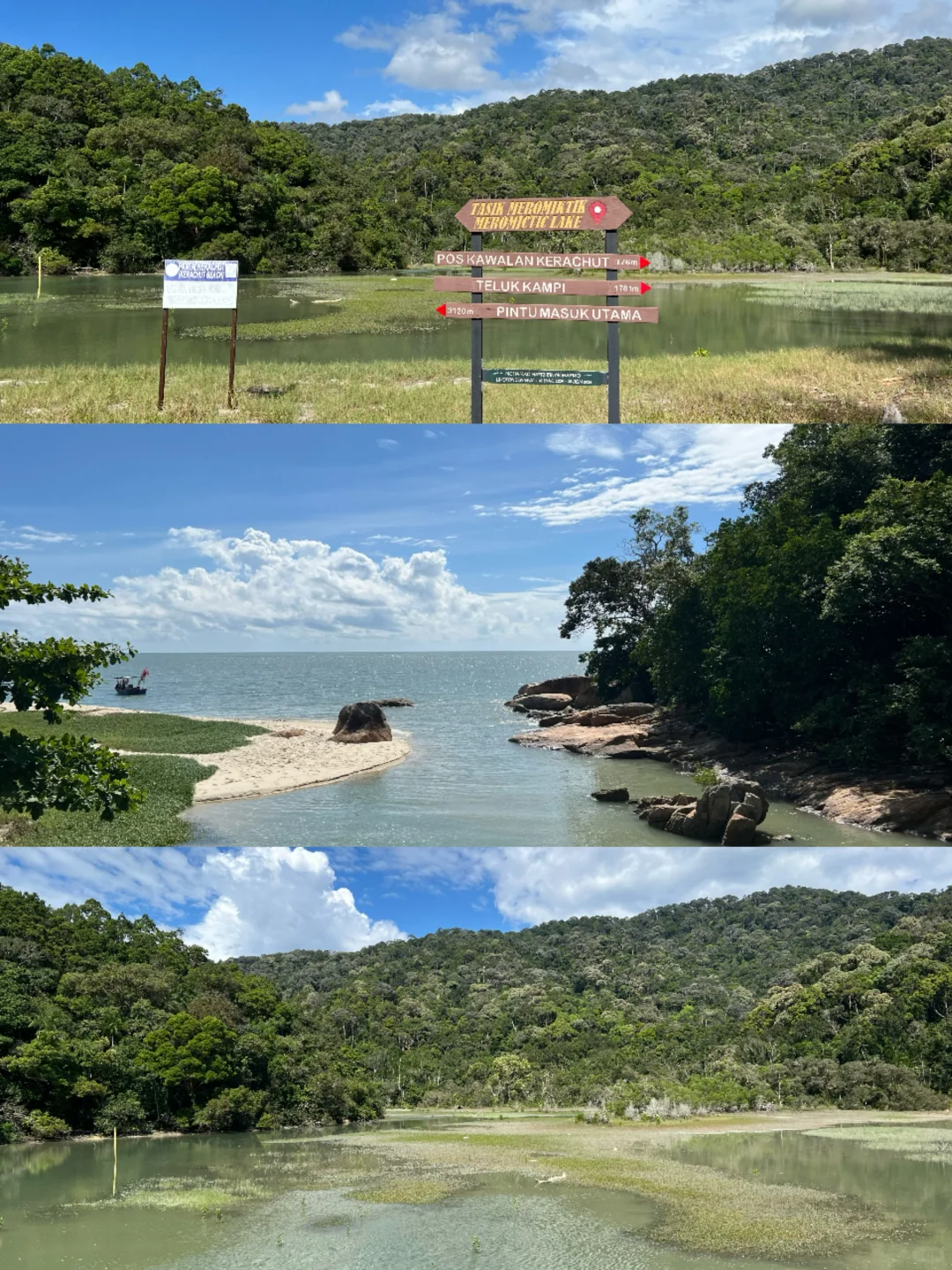 北纬5°徒步穿越热带雨林🐒槟城国家公园