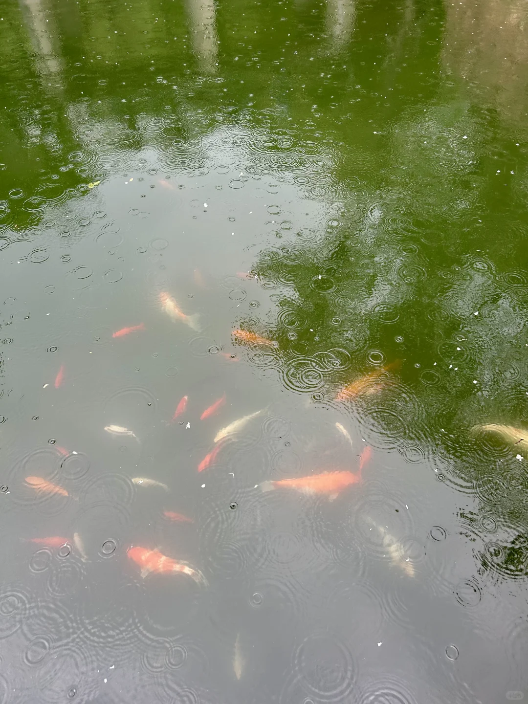 邯郸自驾二日游🏯