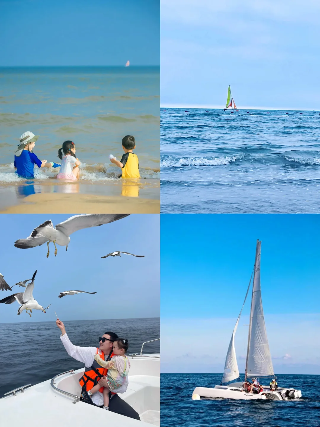 北戴河乌兰布统已回，😭能劝一个是一个…