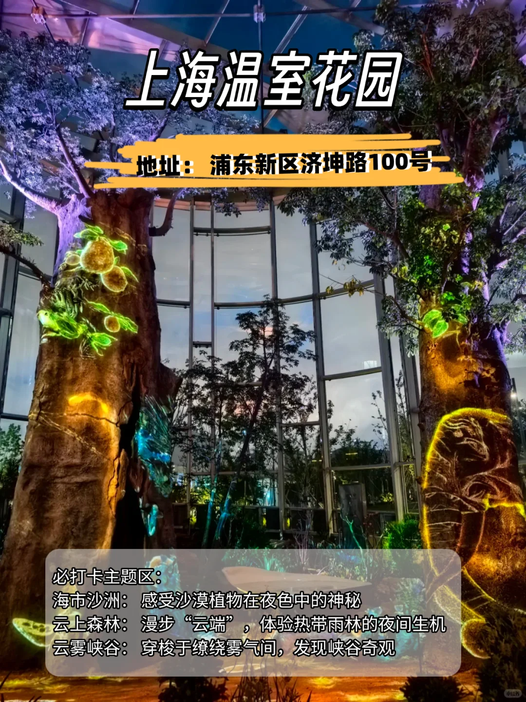 魔都5大乐园景区🔥夜游党必冲❗