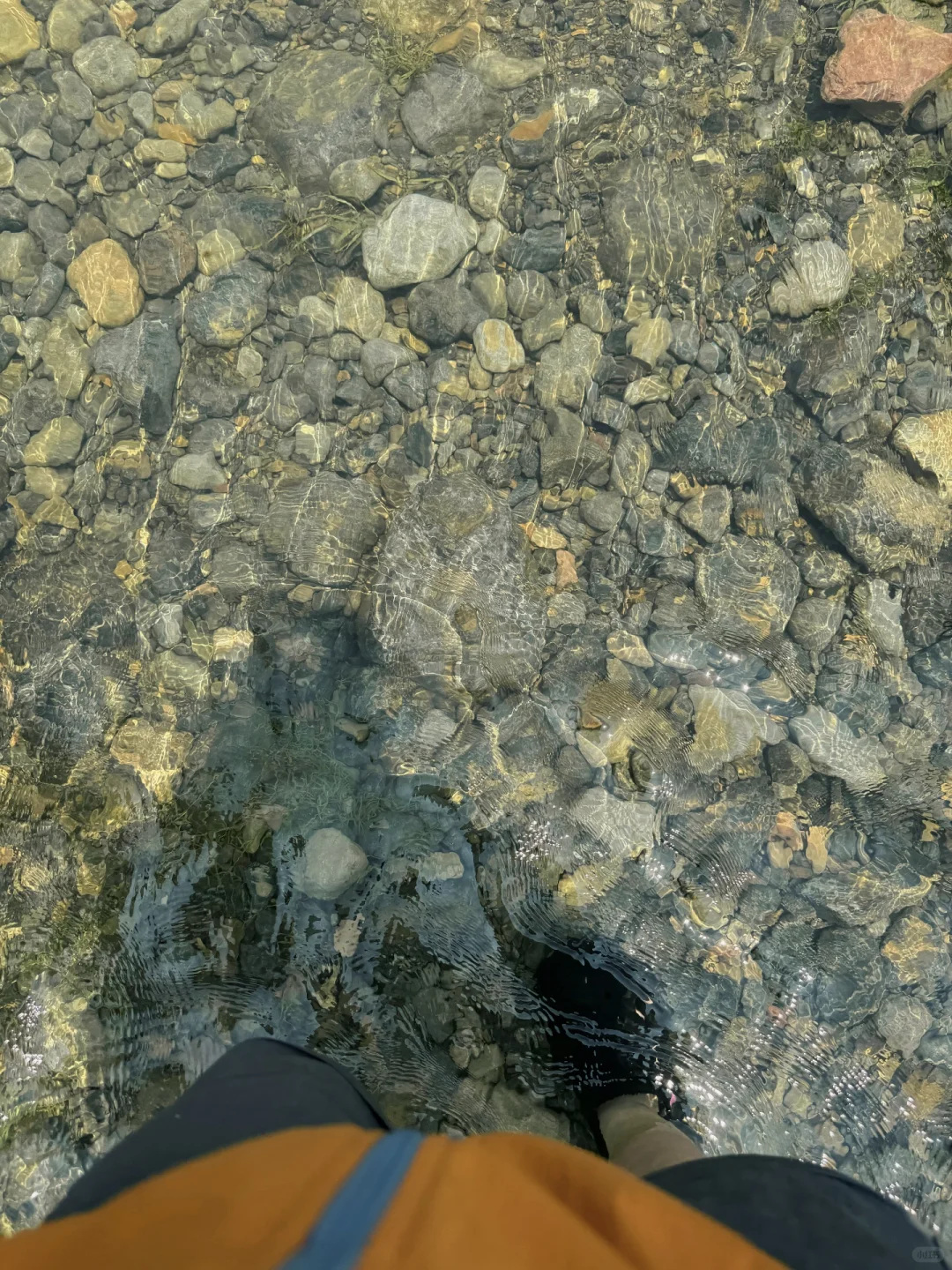 郑州周边⛰️2h抵达峡谷草甸溯溪的小众秘境