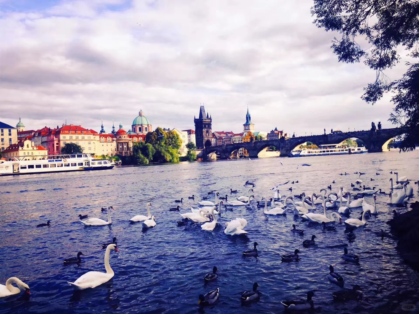 给要独自旅行的女孩一些tips