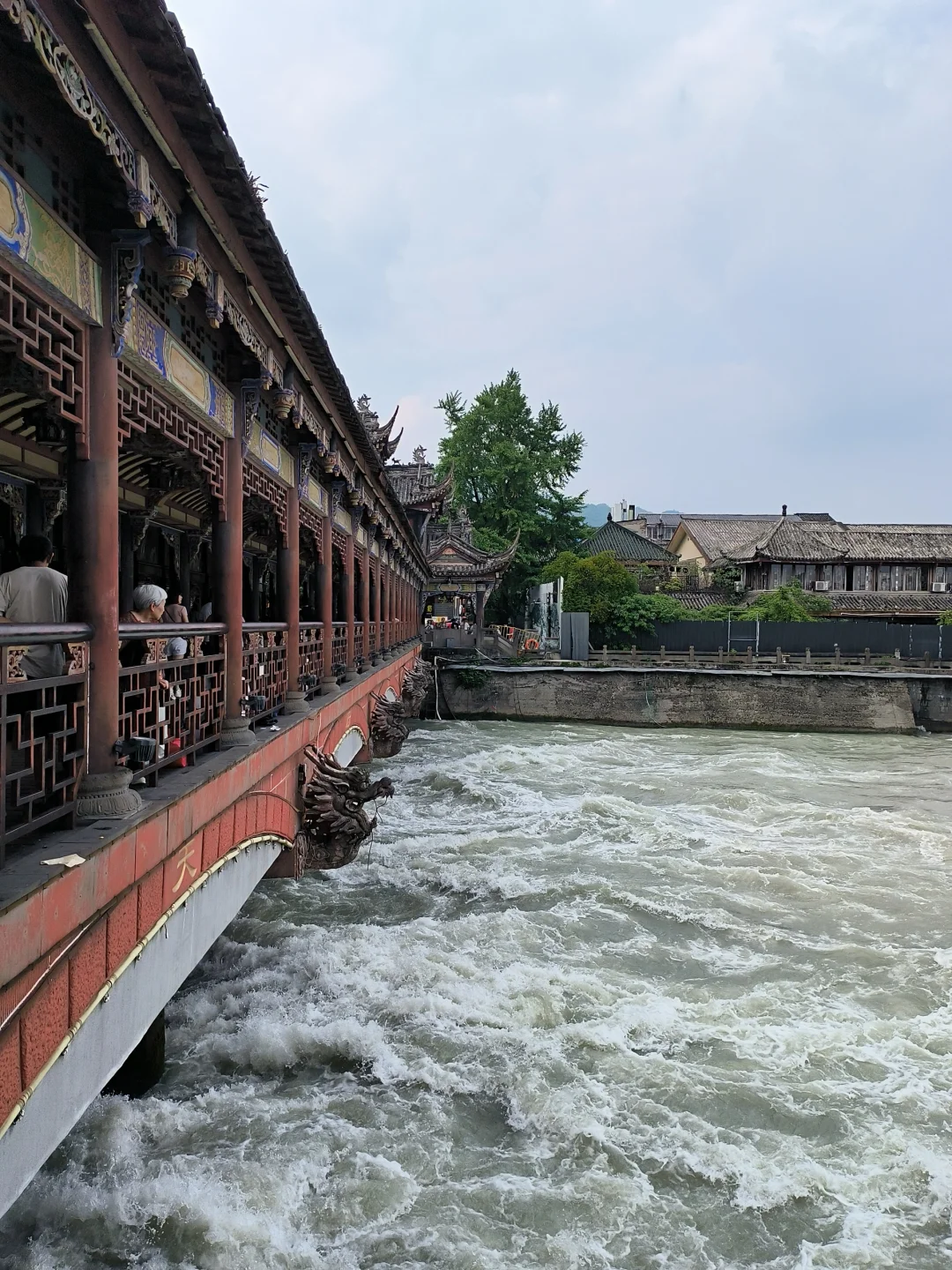 成都→都江堰+熊猫谷攻略|最全景点路线