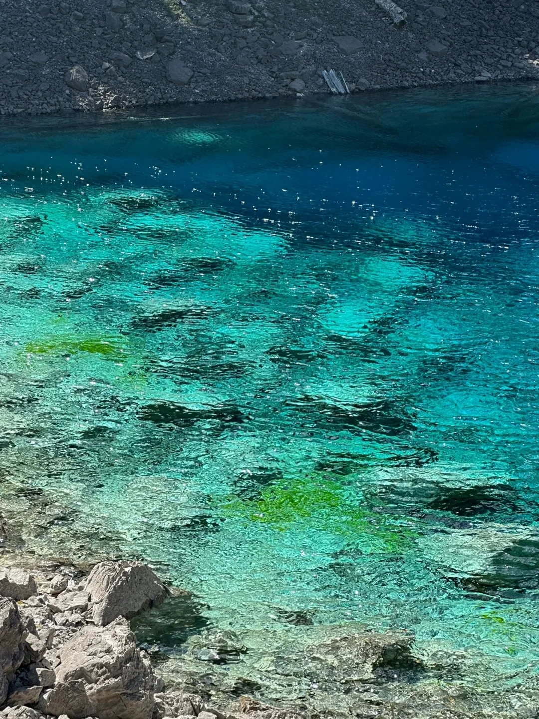 7.28📍九寨沟旅游现状。。踩雷踩到崩溃