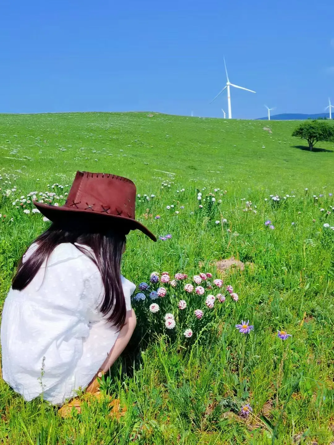 北戴河乌兰布统已回，😭能劝一个是一个…