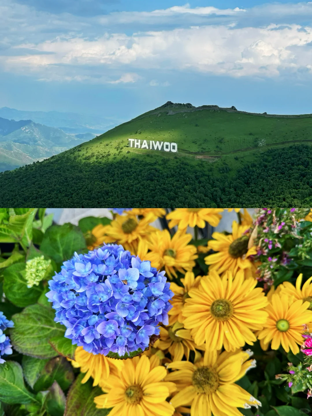 天津出发📍周末自驾游!太舞小镇避暑攻略🌿