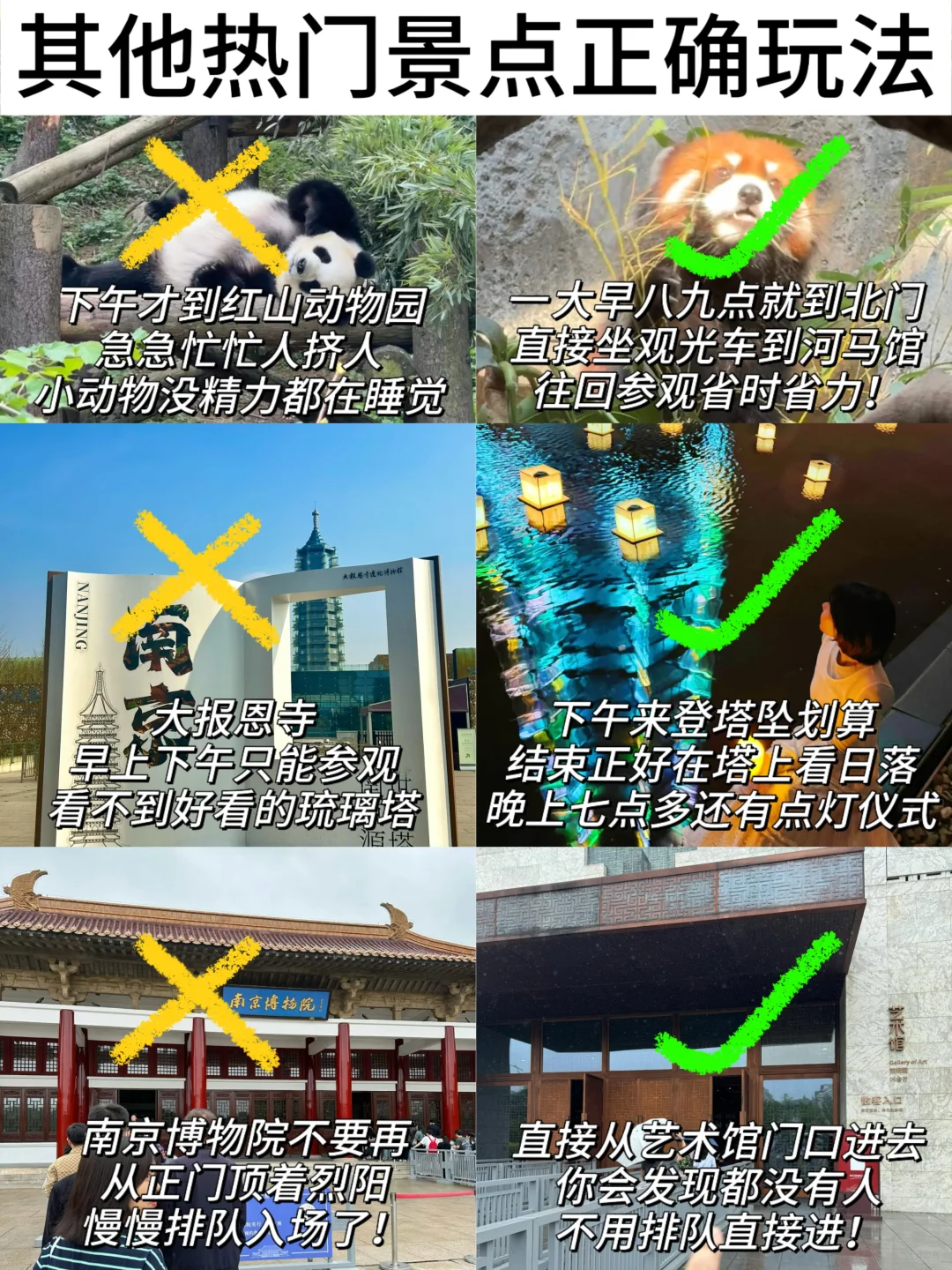 来钟山风景区+夫子庙💥不要再绕路、人挤人了