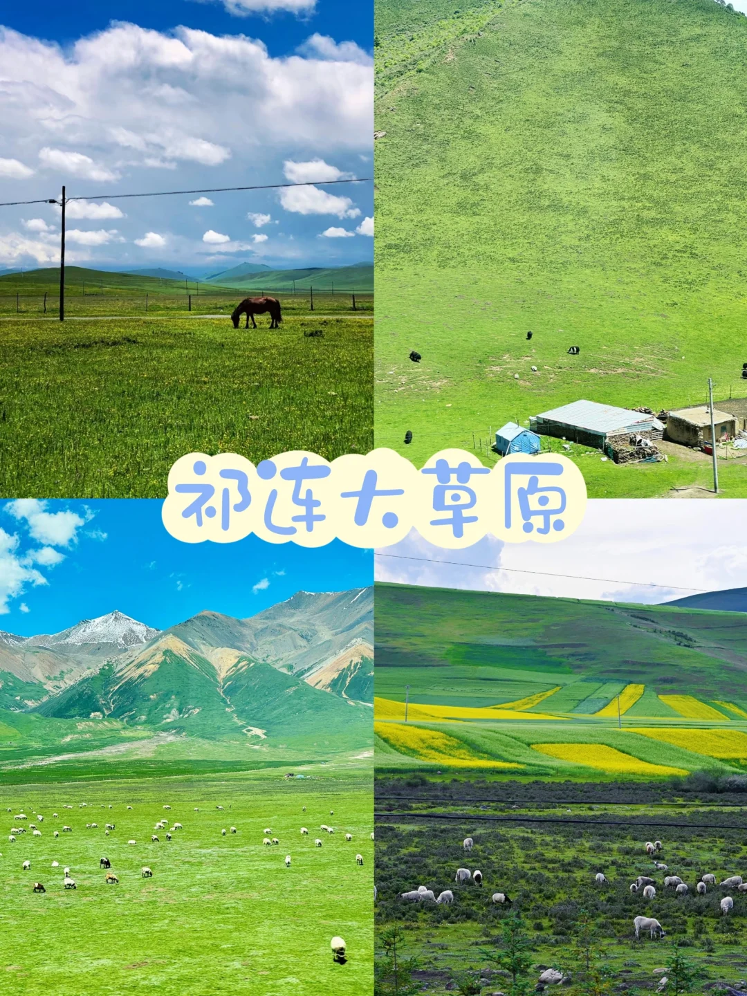 青甘小环线4天就搞定🏕｜人均1.4K💰