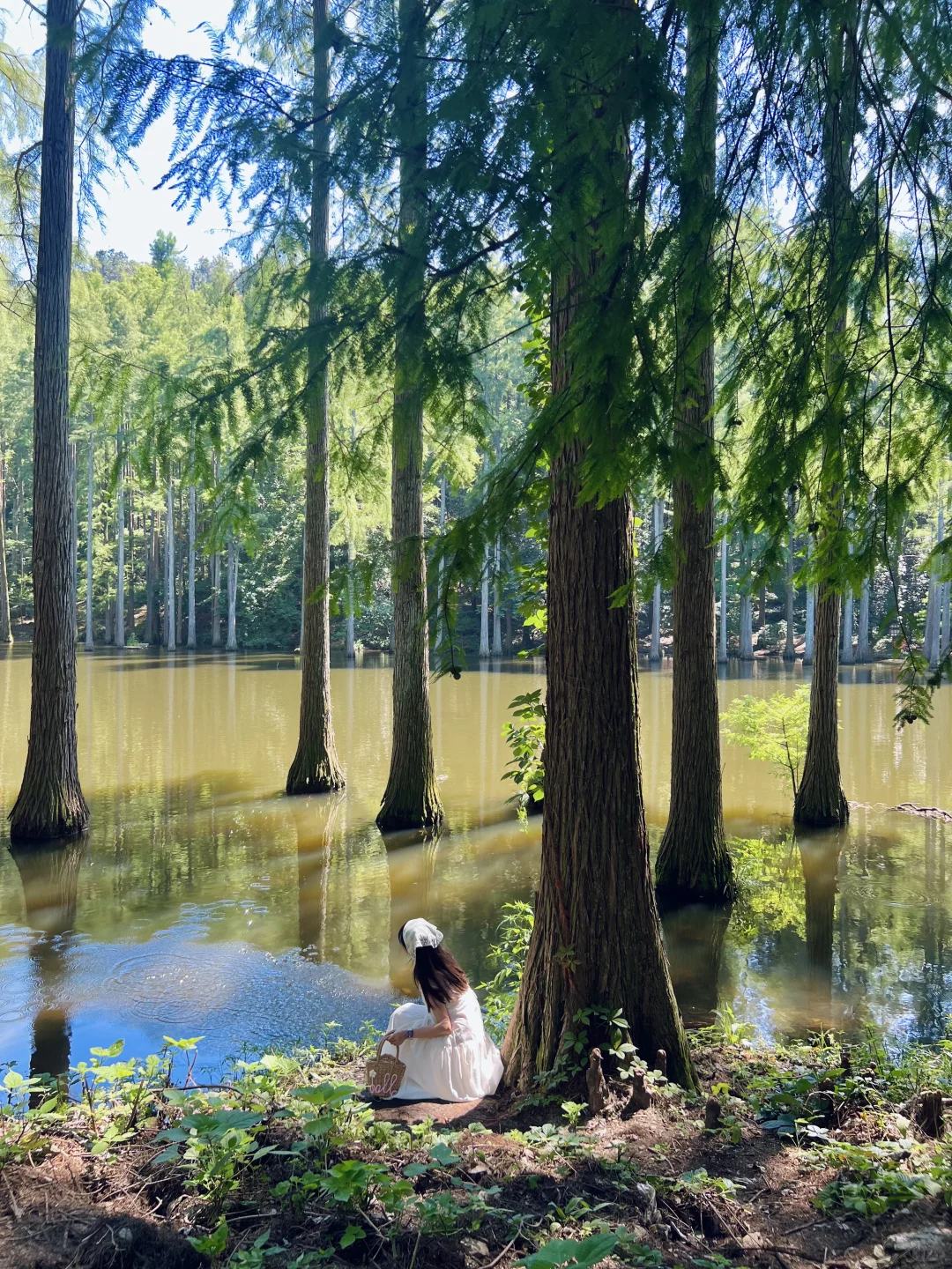 信阳3天2晚🍃小众景美，躺平看山看水