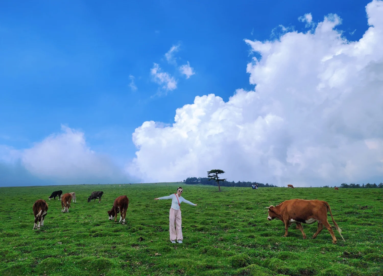 忍不住又来了一次！