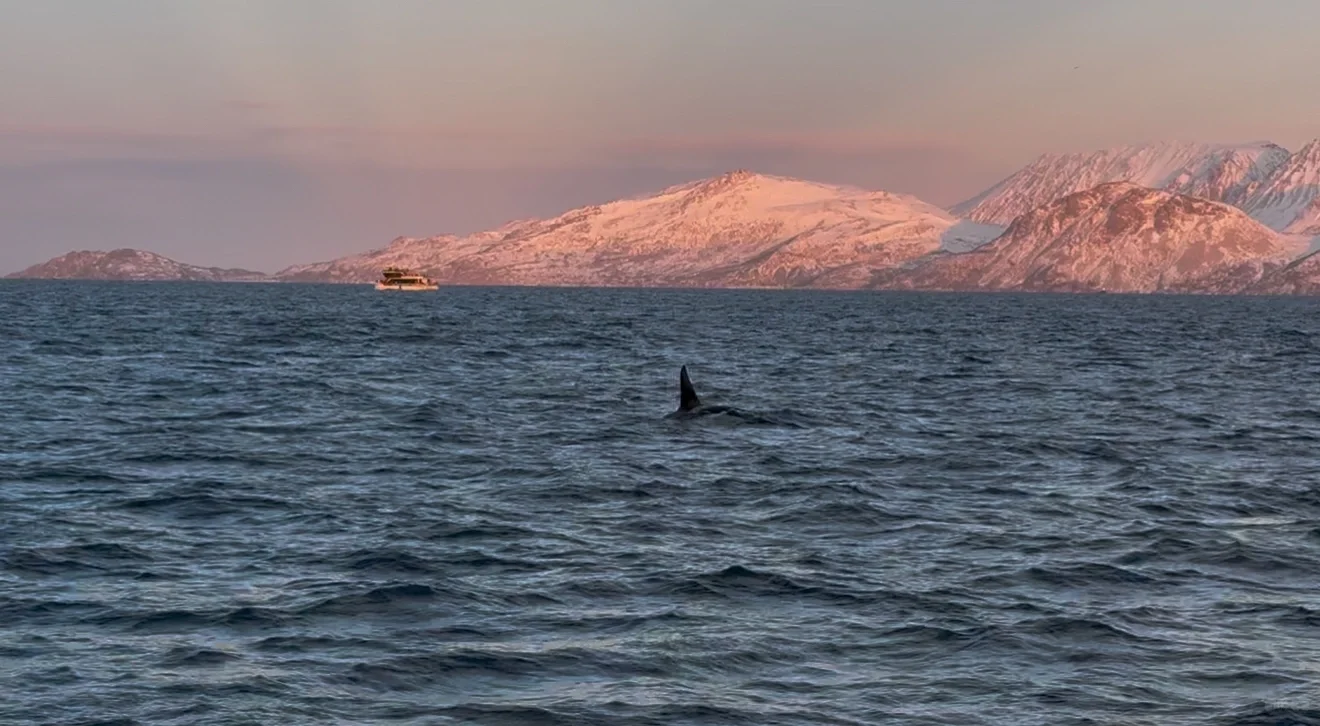 个人向国外旅游地推荐