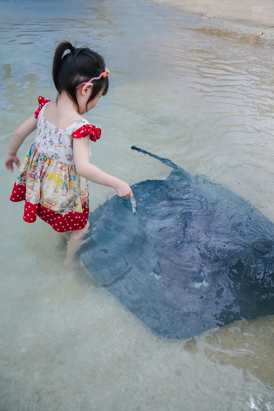 带娃在陵水已经住了10天❗听听我的真实感受