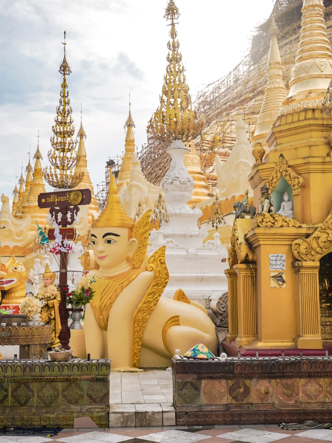 后来，她还是来到了缅甸🇲🇲2025仰光实录