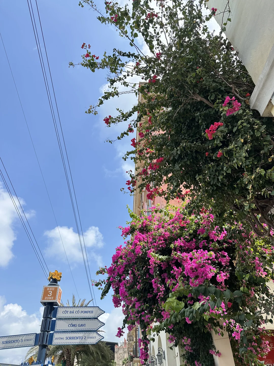 🇭🇰港漂周末｜富国岛泡酒店平价指北（精华版