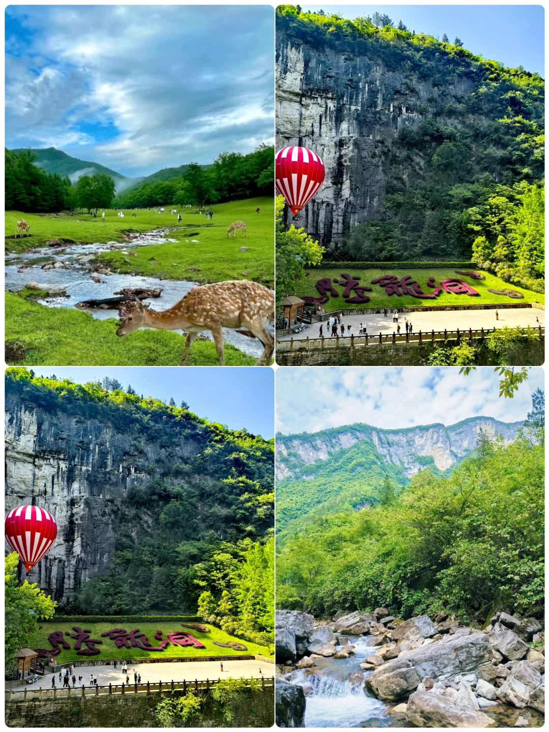 适合带父母避暑，预算1k以内4个方向出游地