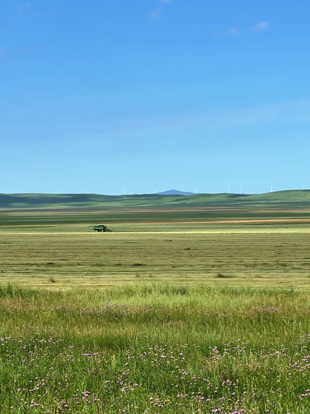 辽宁周边草原|扎鲁特旗山地草原+乌拉盖湖