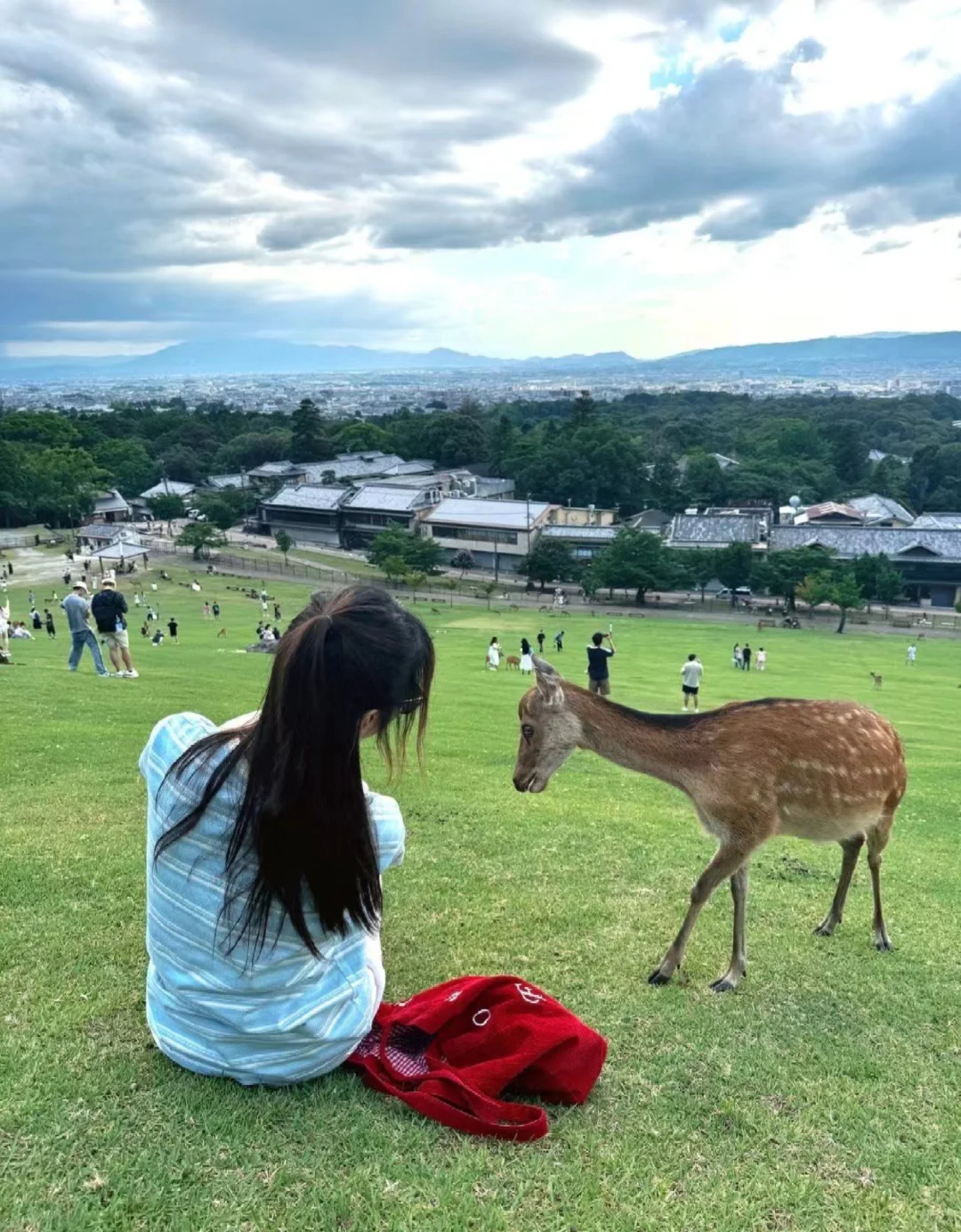 日本玩了七天，我对日本的真实观感是这样