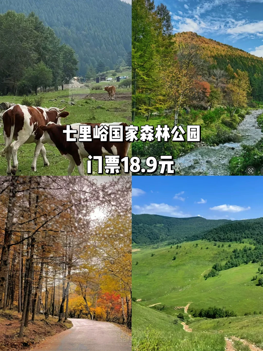 临汾｜遛娃必打卡的9个宝藏地