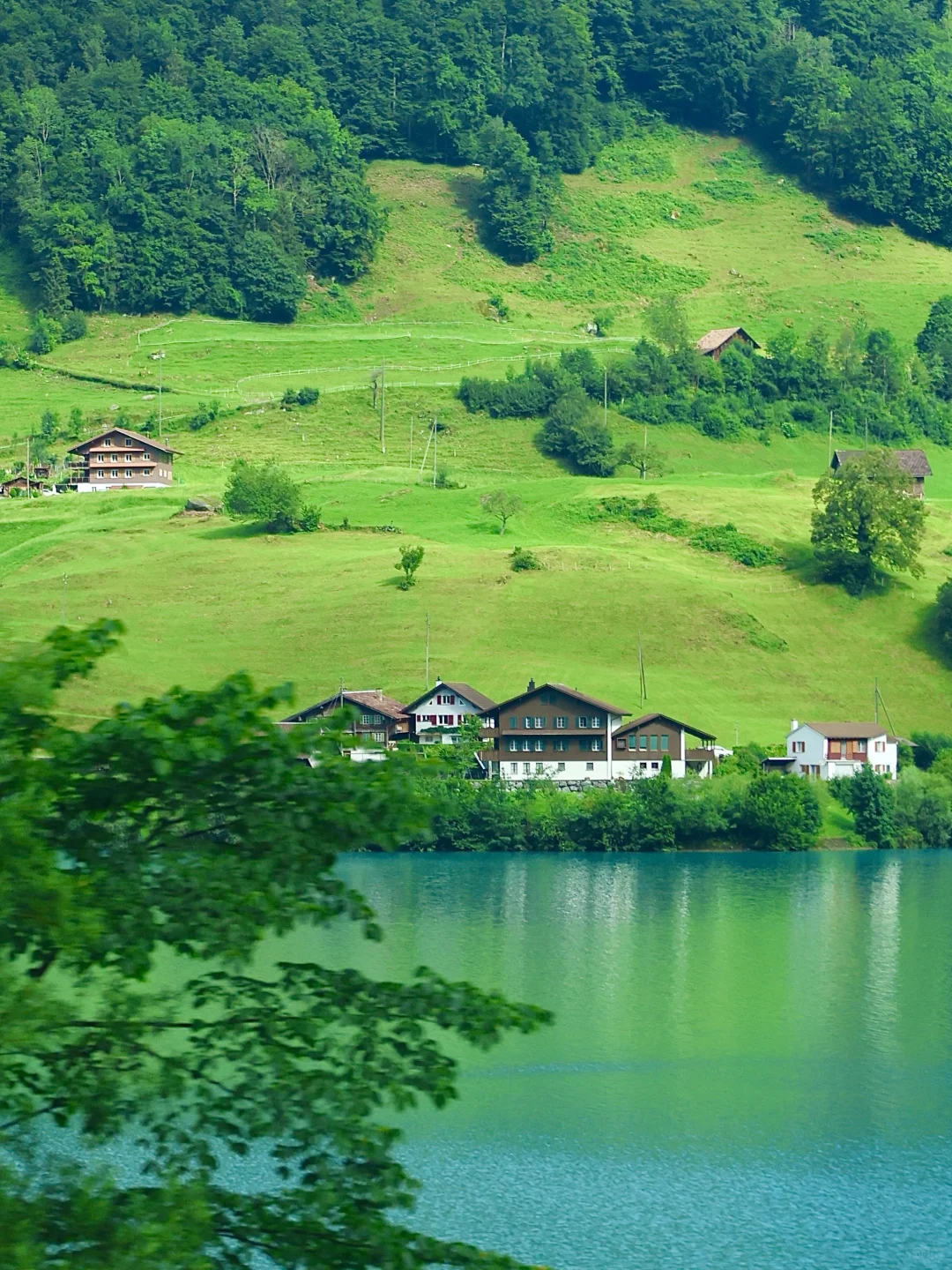 年轻人不要轻易来瑞士🇨🇭