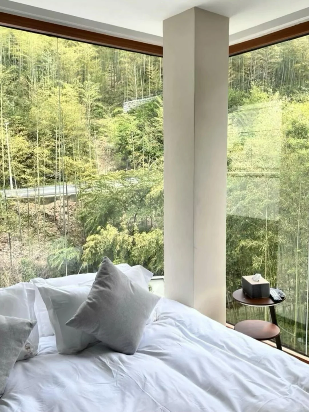 安吉！刚退房！独栋溯溪小院！779/3️⃣天➕送餐