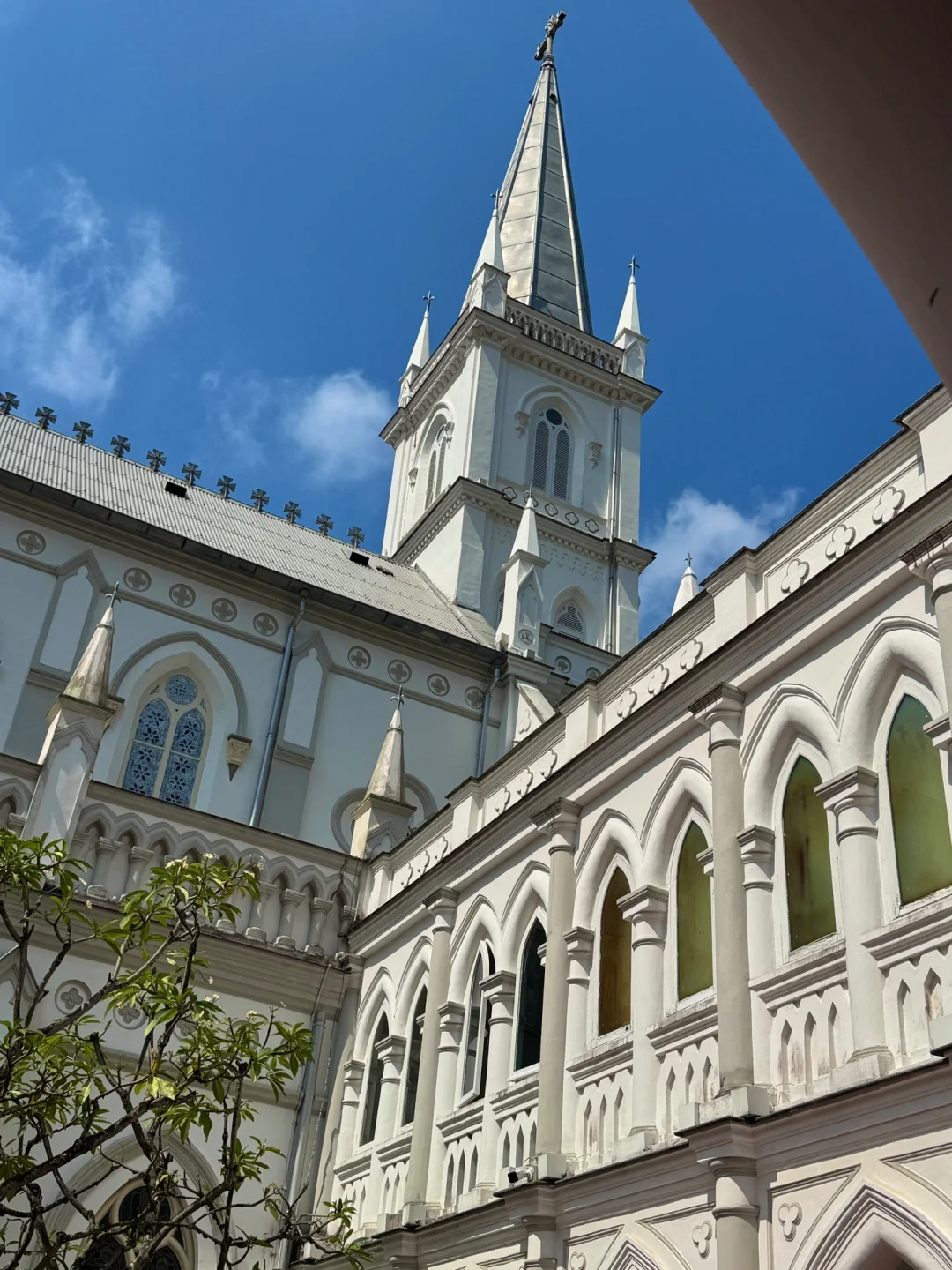 新加坡的人生照片诞生了!!天气太棒啦⛲🌴️🩵