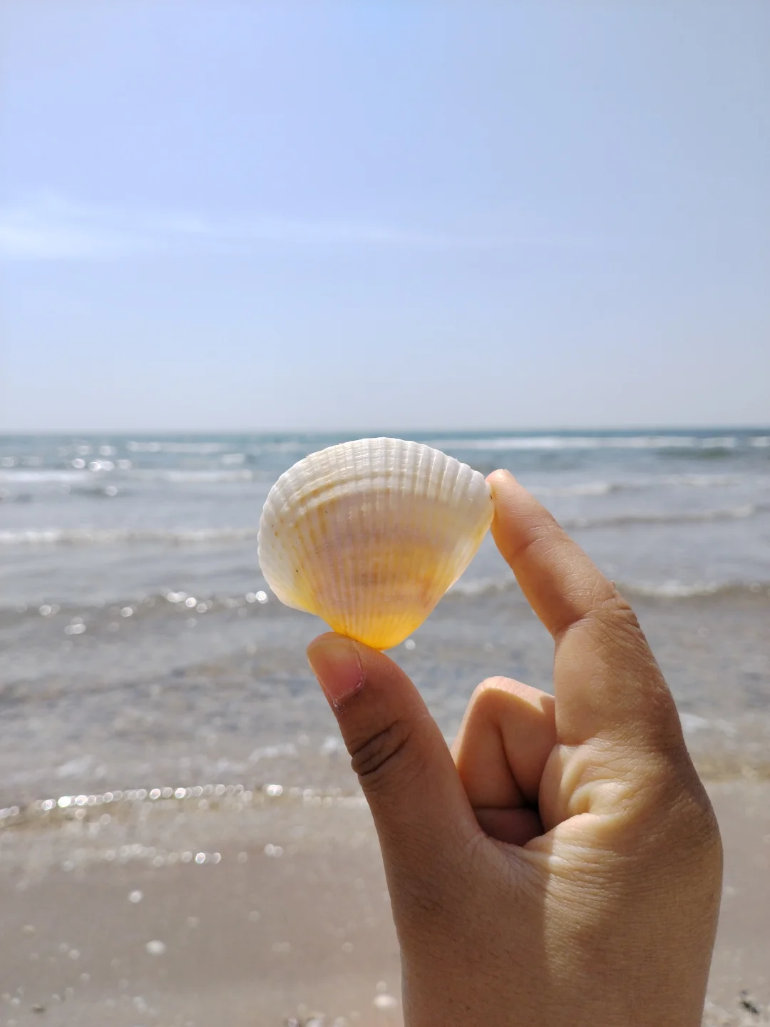 来秦皇岛3天2晚的游玩攻略