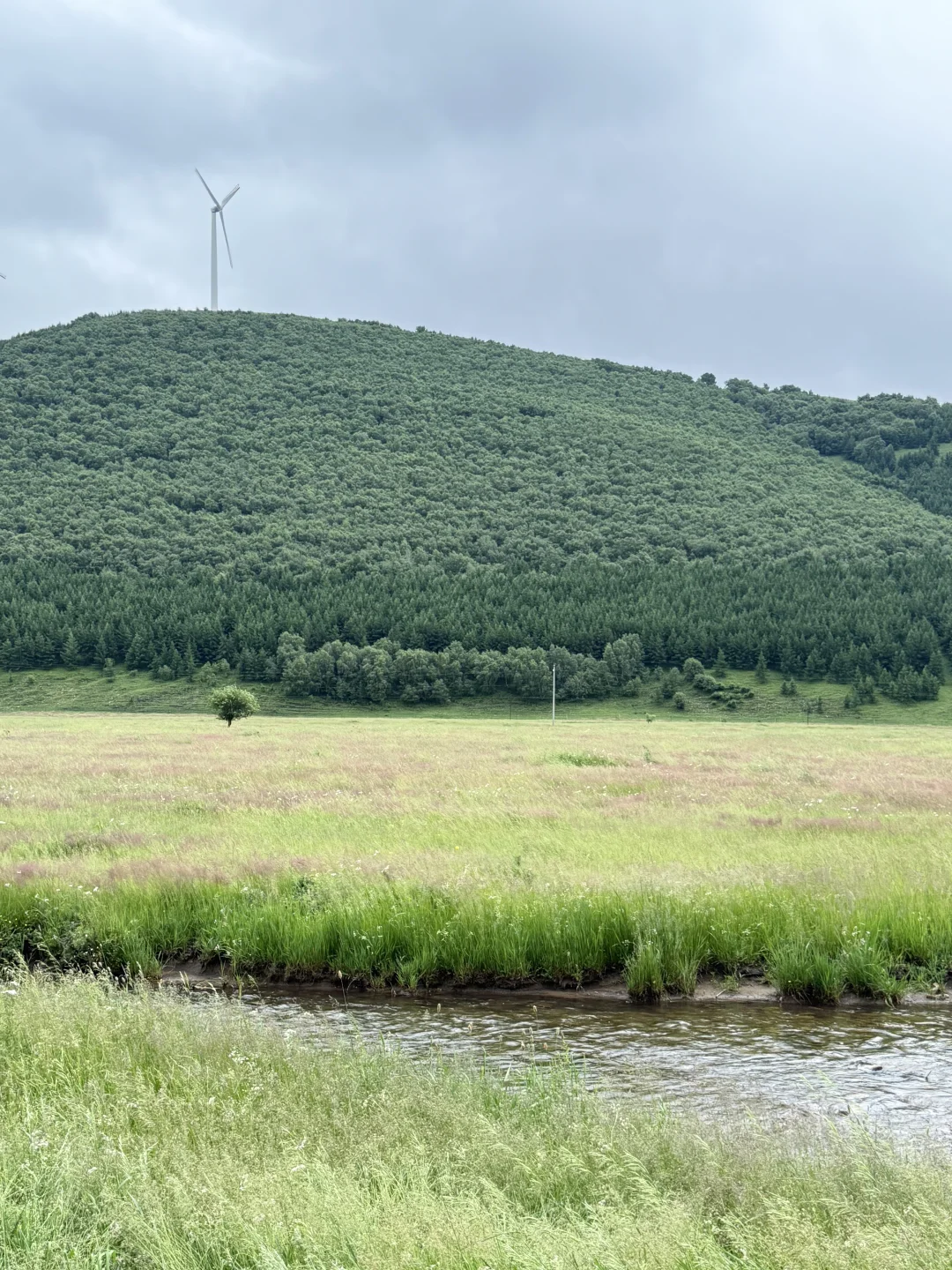 小友自然大会 | 周末到承德草原遛娃避暑咯