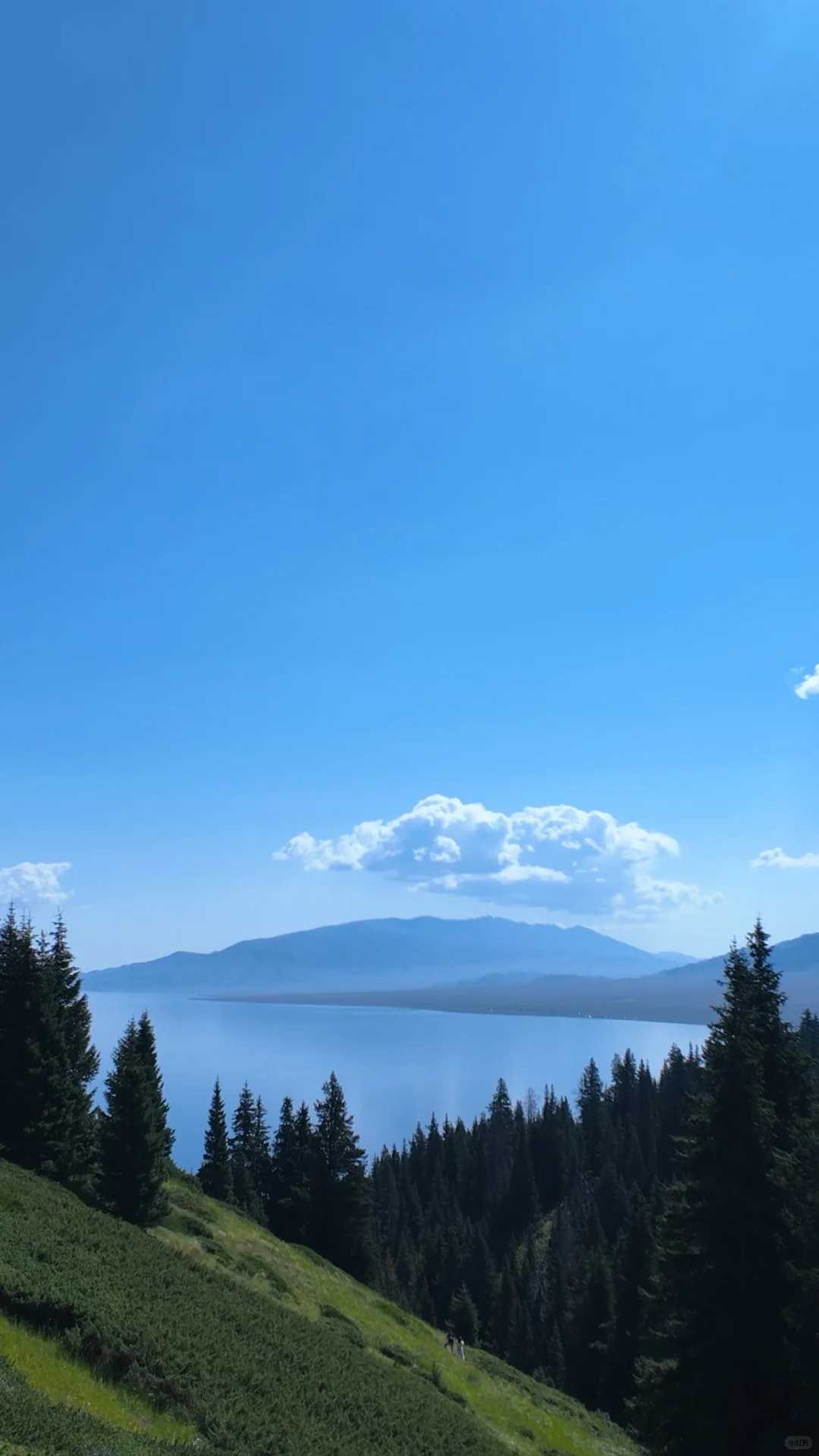 没白活！7月的赛里木湖真的很美