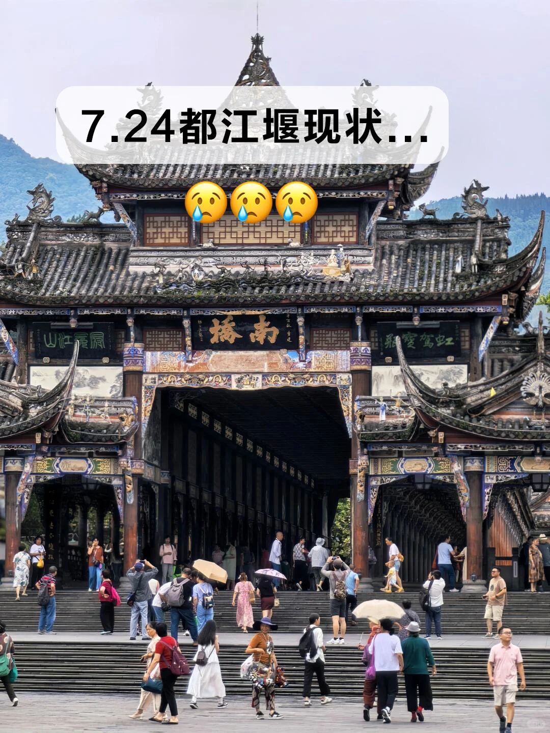 7.24｜都江堰已回…😠我的要崩溃了…