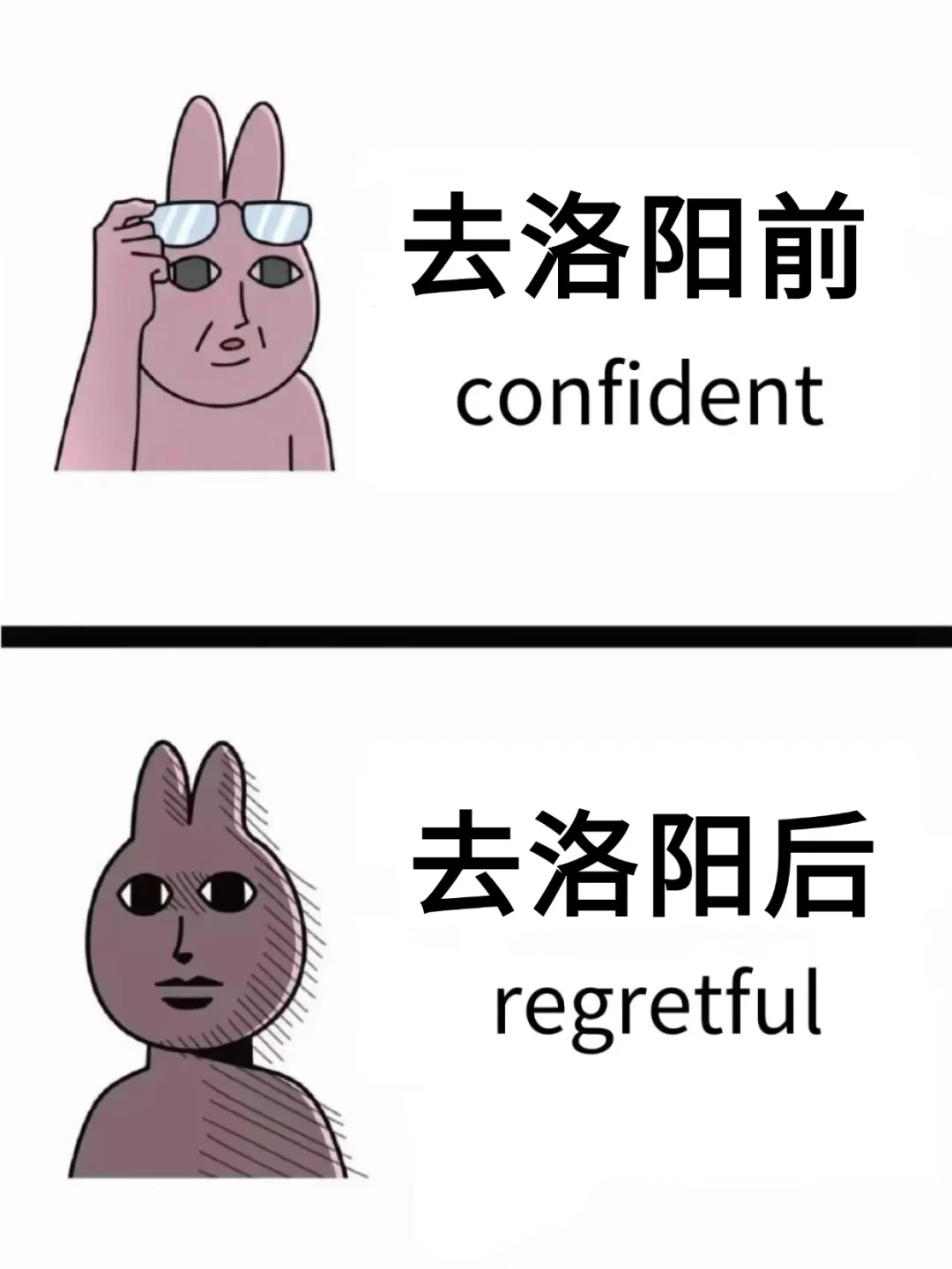 为什么我去洛阳旅游之前没刷到这一篇