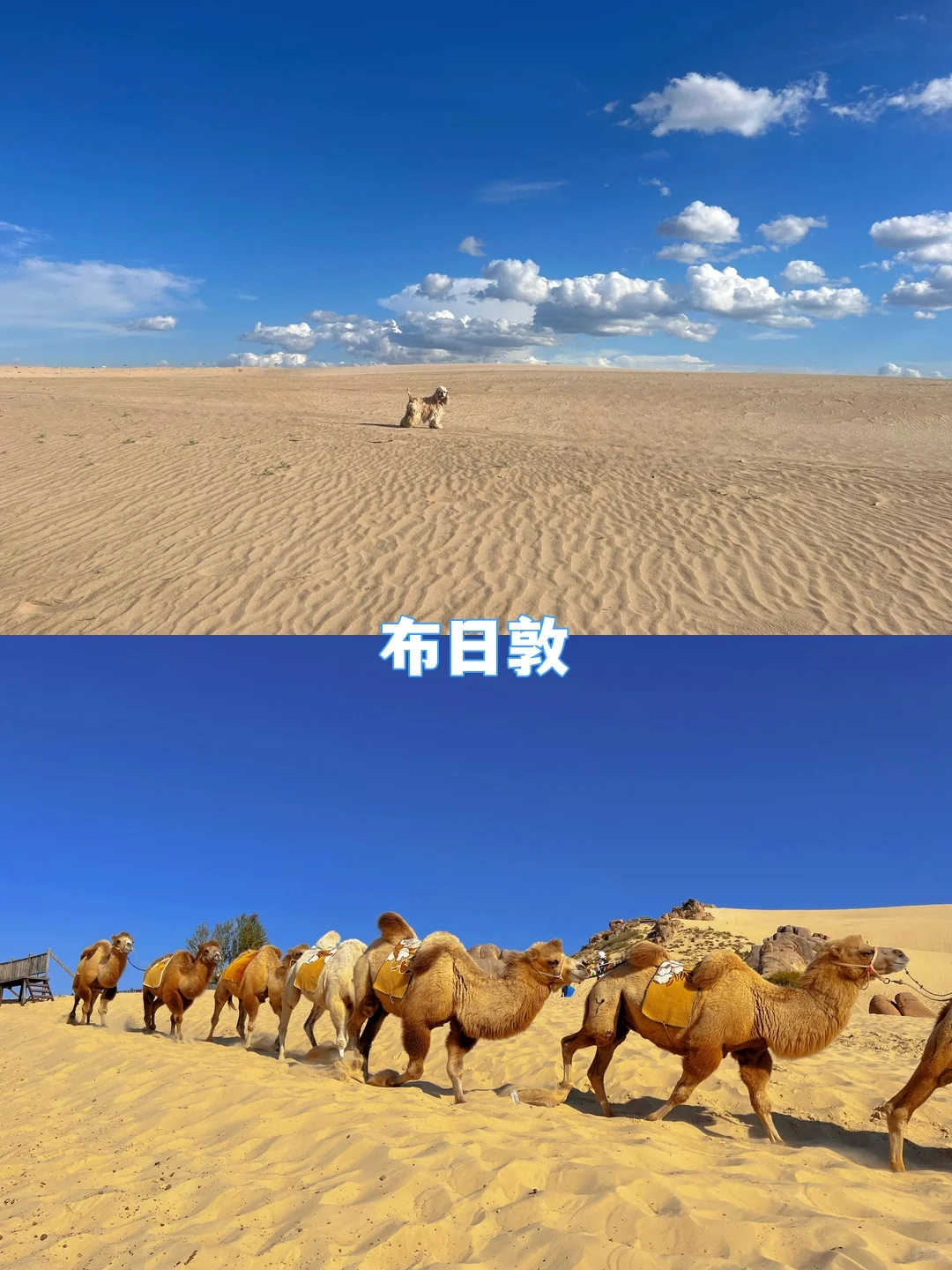 北戴河+承德+乌兰布统5天4晚暑假遛娃攻略！