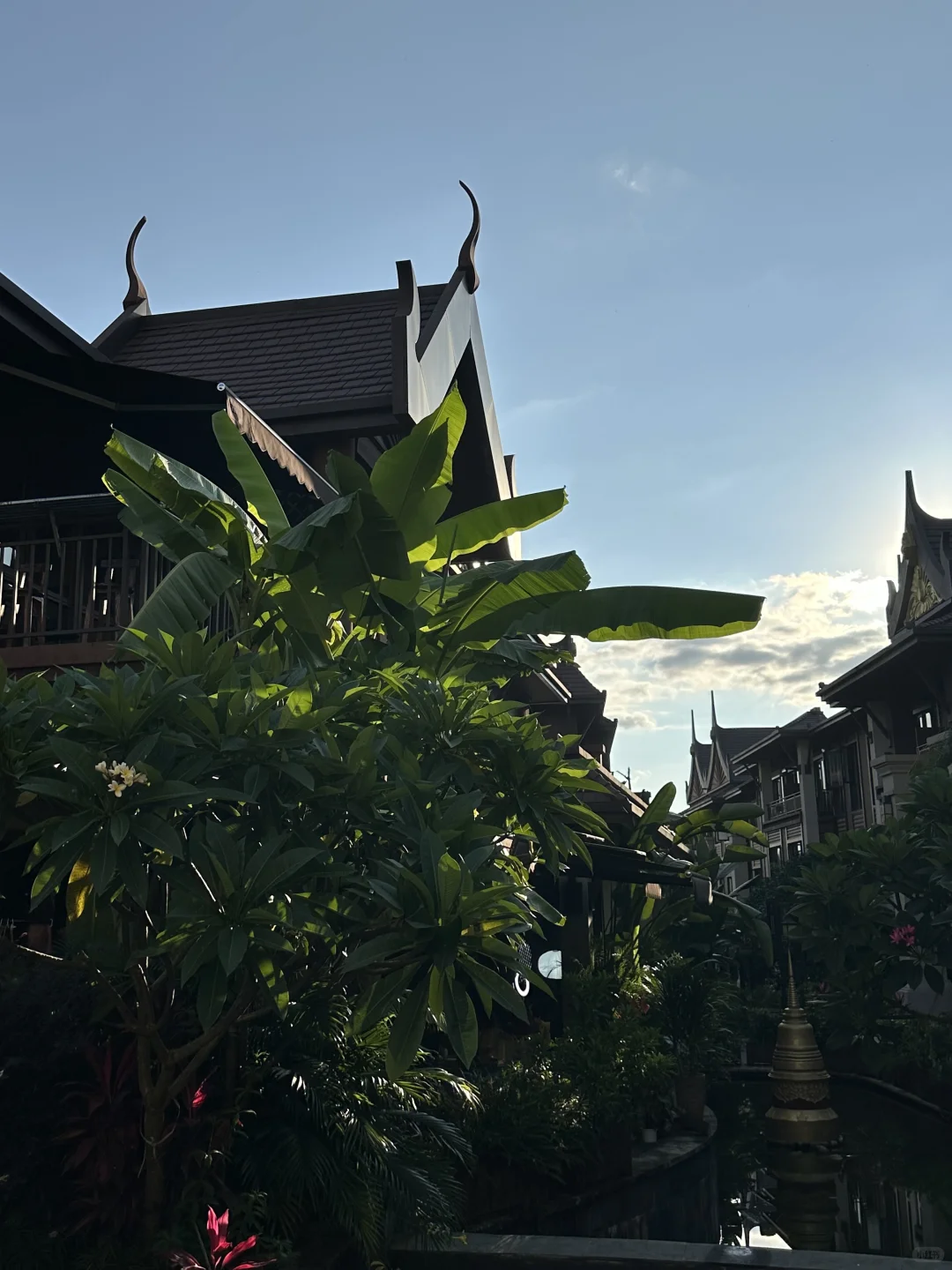 成都出发3天2夜芒市松弛感拉满的旅游攻略🌴